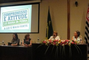 Coordenadora da Comesp enfatiza importância da mobilização do judiciário no enfrentamento à violência contra a mulher